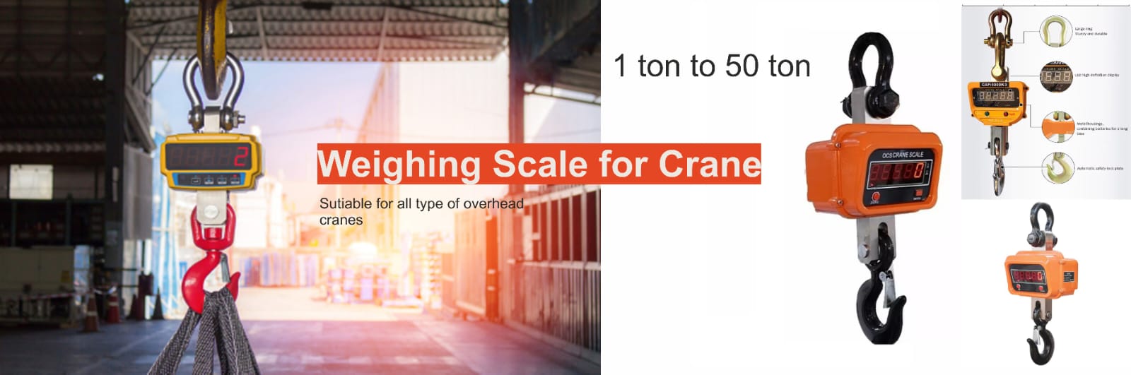 crane weight scale pune